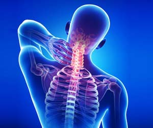 Orthopaedics Applications Spinal Cord in Human Body