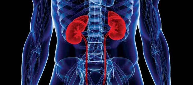 KIDNEY DISEASE