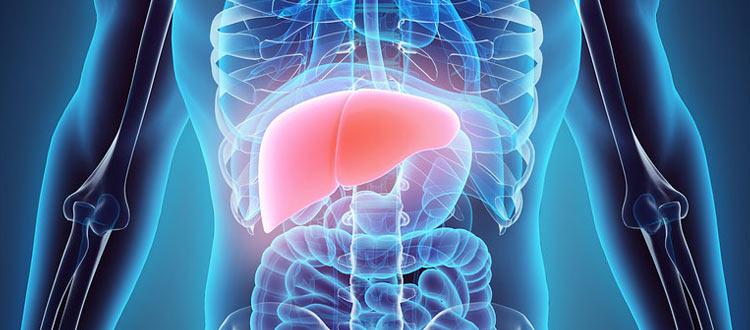 LIVER CIRRHOSIS DISEASE