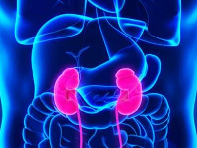 KIDNEY-DISEASE