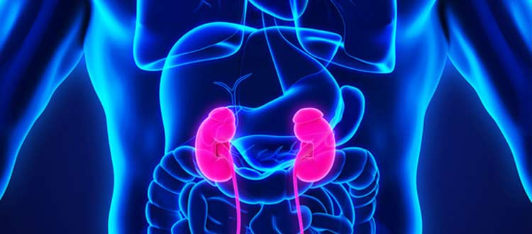 KIDNEY-DISEASE