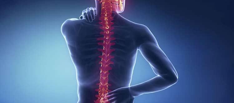 SPINAL-CORD-INJURIES